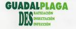 Control de plagas en Antequera