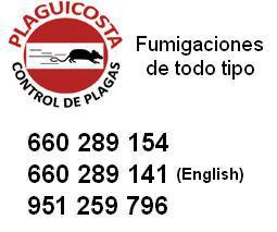 Plaguicosta , 951259796 Control de Plagas en Mijas Costa